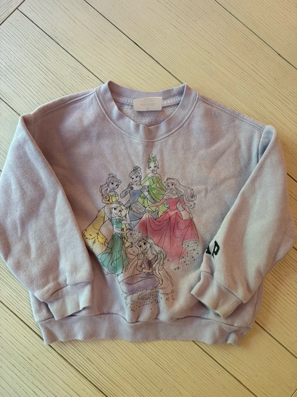 GAP disney princess sweatshirt
